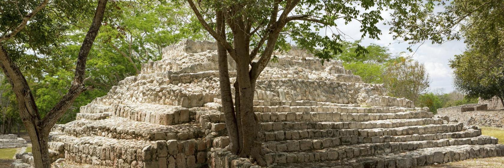 El Rey Archaeological Zone